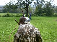 (181 von 243) : KIGA Hausen Waldwoche